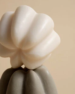 Le Shampoing Solide Doux -Magasin De Cosmétiques 2023 03 OMC UMAI 2 POST