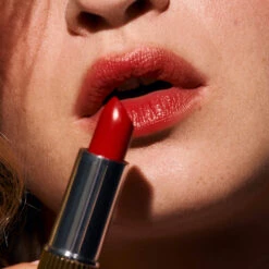 Baume à Lèvres Teinté Hydratant -Magasin De Cosmétiques Chouchou Formatcarre 1