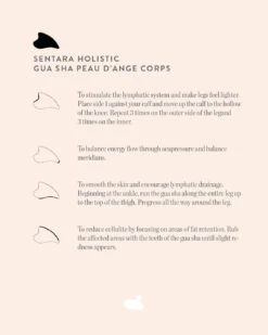 Gua Sha Peau D'Ange Corps 16 Gua Sha Peau D'Ange Corps -Magasin De Cosmétiques Gua sha peau d ange corps EN