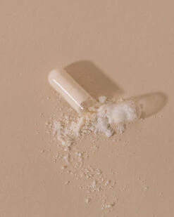 Microbiote & Nombril Compléments Digestion 9 Microbiote & Nombril Compléments Digestion -Magasin De Cosmétiques Microbiote et Nombril 3