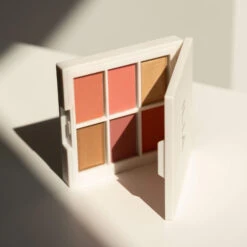 Multi Stick Palette -Magasin De Cosmétiques PaletteMultistickILIA carre
